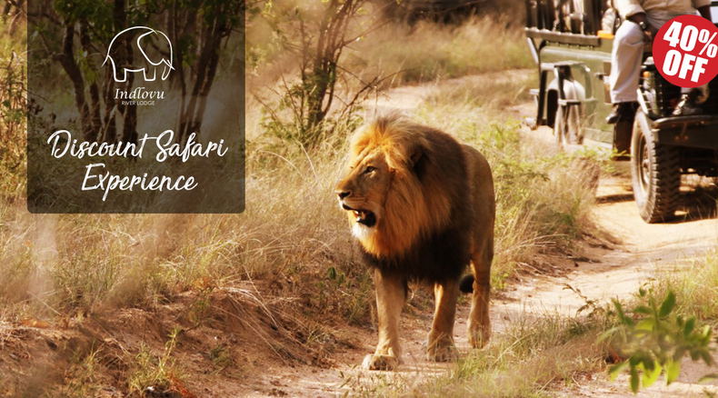 discount safari wildlife photography discount safari wildlife photography
