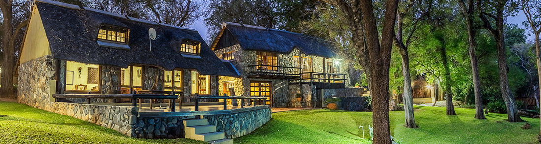 safari bushveld