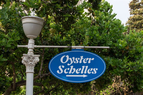 Oysters gardens