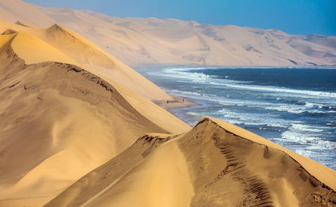 Book your Excursion