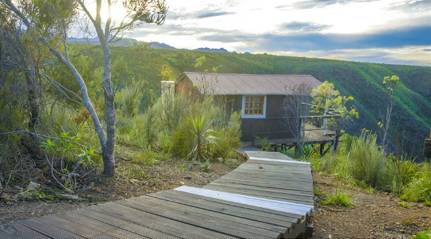 Canyon Cabin Rainforest Ridge