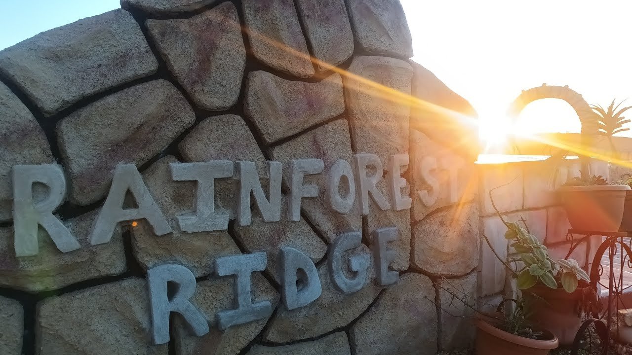 Rainforest Ridge Brand Movie