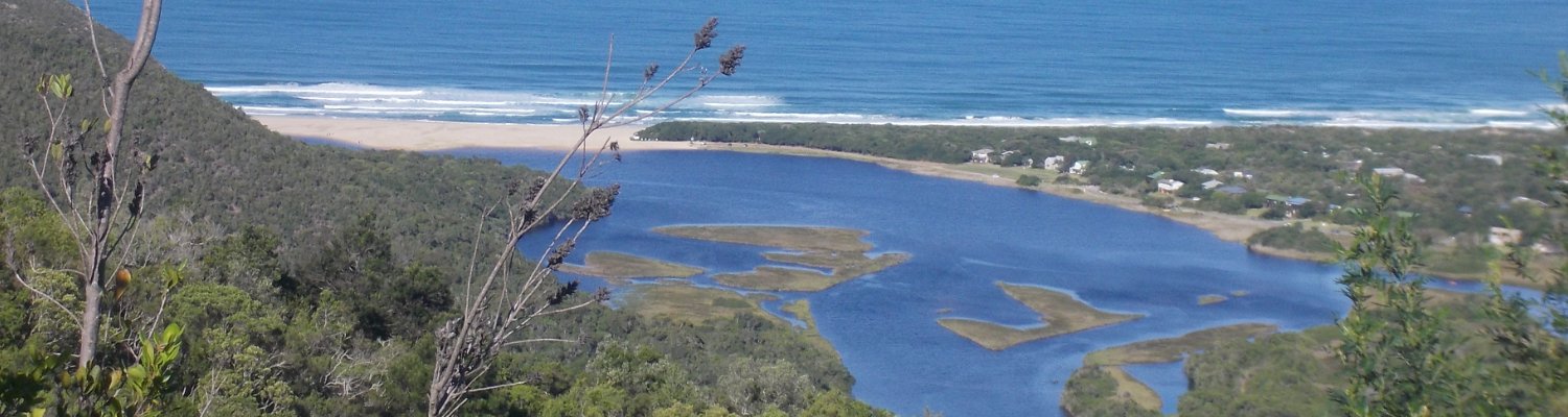 The most lush coastal forests of South Africa
