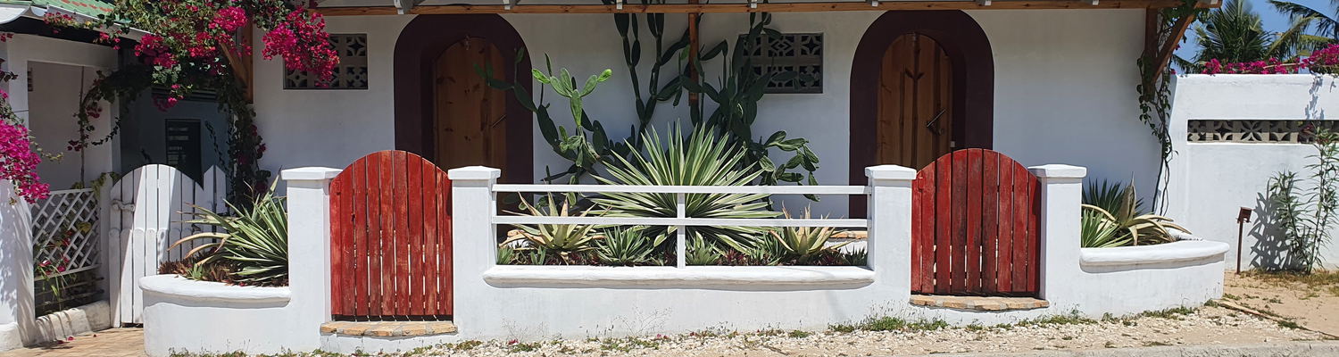 Front view