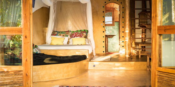 Papaya Suite