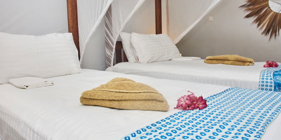 Twin room