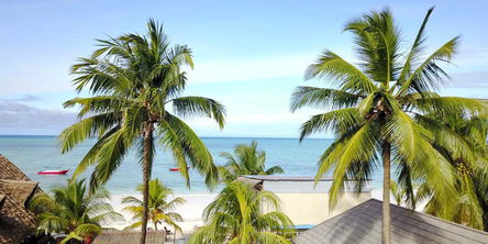 Two Bedroom Pool View Apartment