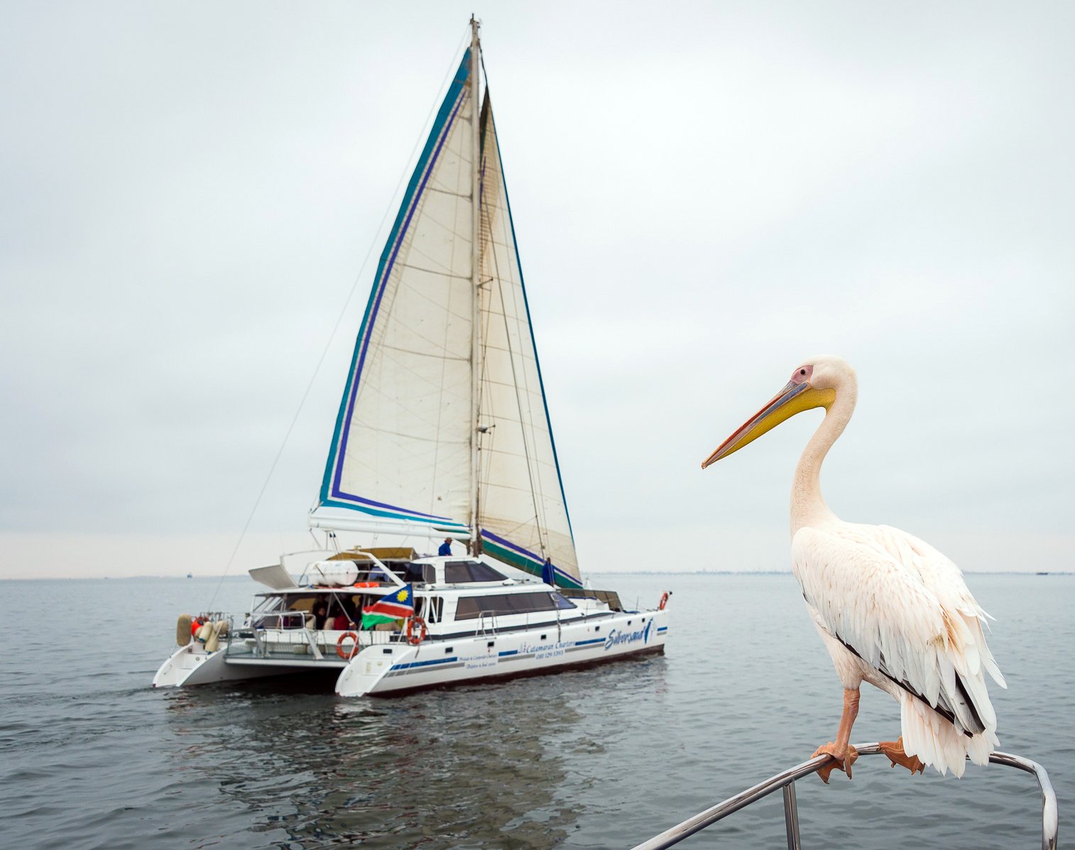 "The guide was knowledgeable and well informed, the staff wonderful and the food was amazing!"