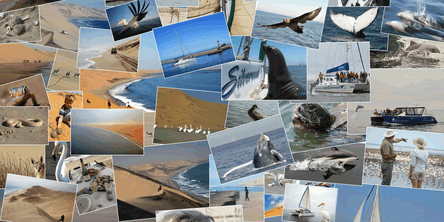 Marine Desert Adventure