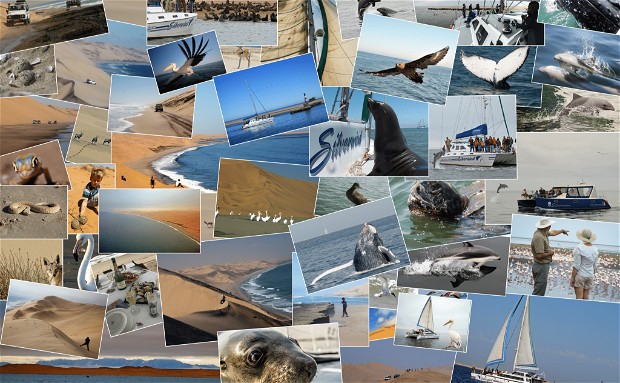 catamaran charters swakopmund