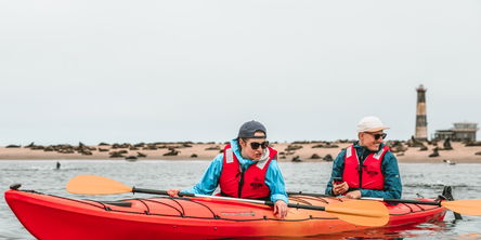 Seal Kayaking Adventure