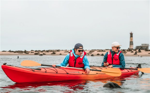 Seal Kayaking in Namibia