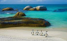 Boulders Beach