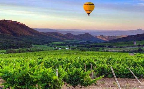 Cape Winelands