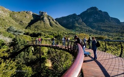 Kirstenbosch national botanical gardens