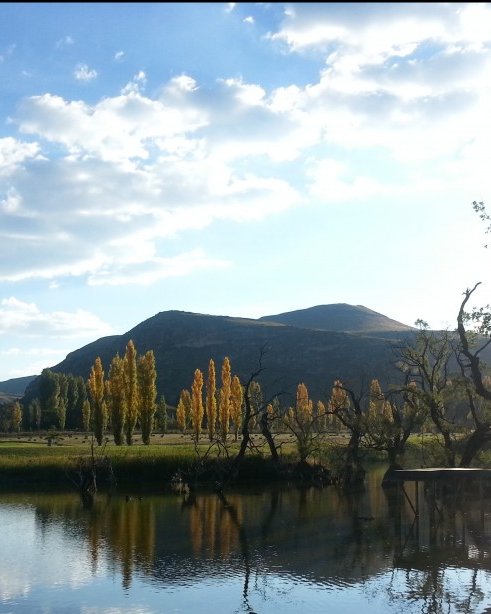 Autumn has arrived in Clarens Autumn has arrived in Clarens