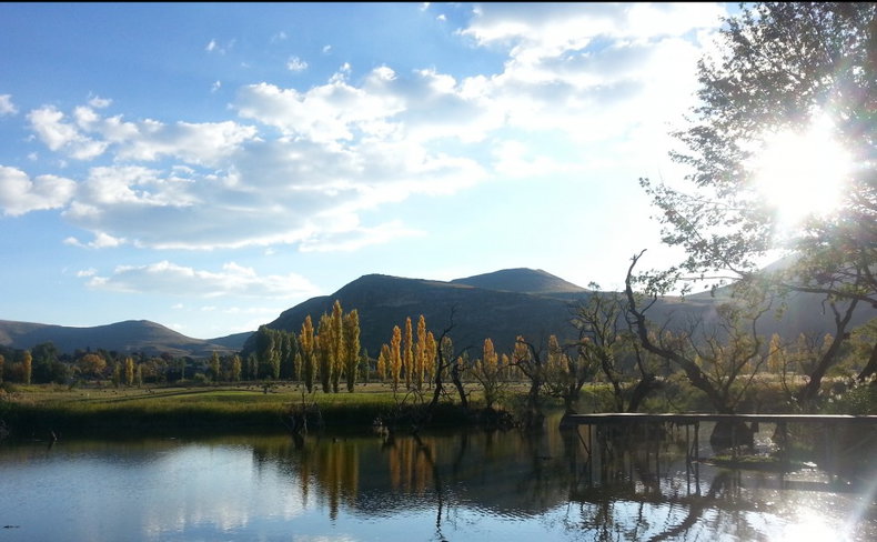 Autumn has arrived in Clarens