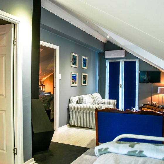 The Attic