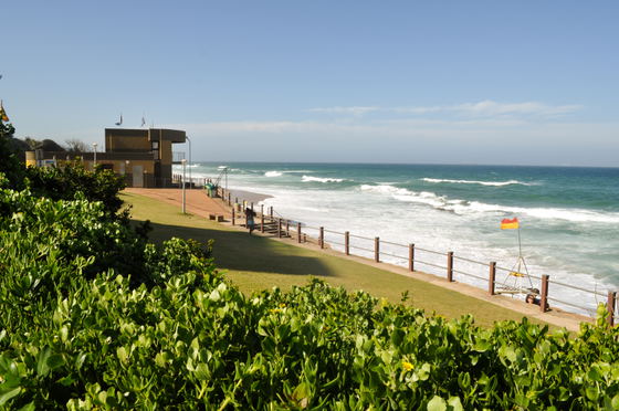 Beach and surrounding area