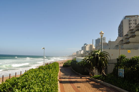 Beach and surrounding area