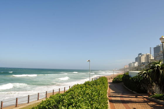 Beach and surrounding area