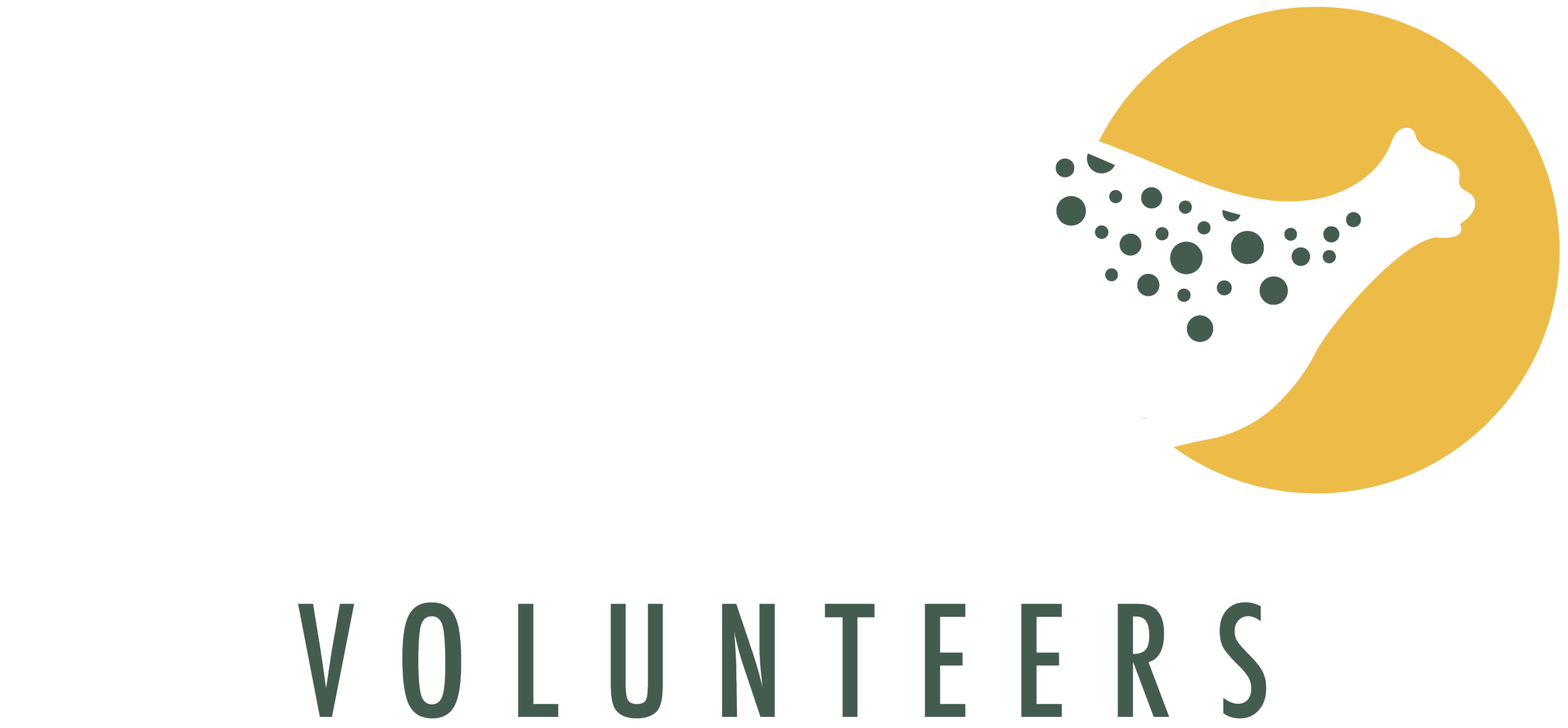 Cango Wildlife Volunteers - Volunteer/Intern Program South Africa
