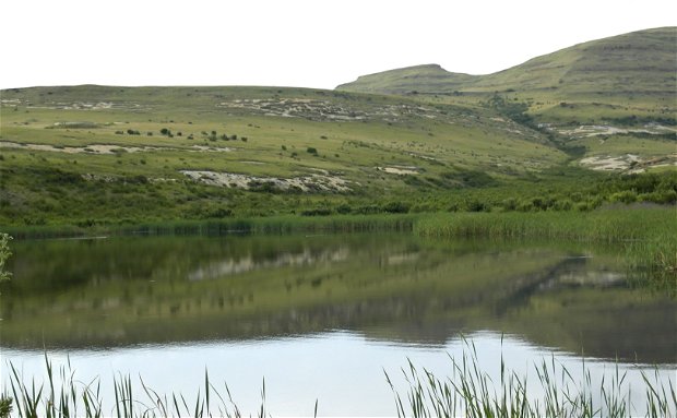 Clarens Village Nature Reserve