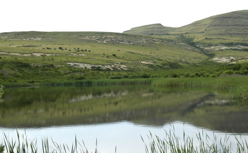 Clarens Village Nature Reserve Clarens Village Nature Reserve