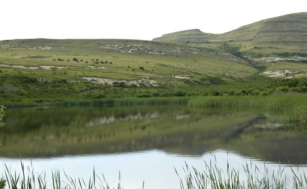 Clarens Village Nature Reserve