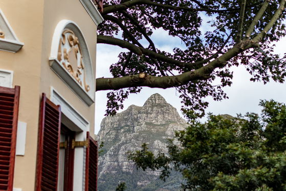 TABLE MOUNTAIN VIEW