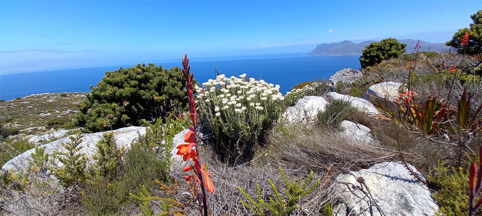 Visit the Cape of Good Hope from Carmichael House Boutique Hotel, a full day-tour filled with magnificent landscapes. This picture was taken from the top of Silvermine, overlooking False Bay and with Simon's Town in the distance. 