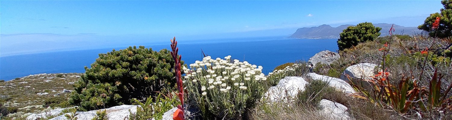 Visit the Cape of Good Hope from Carmichael House Boutique Hotel, a full day-tour filled with magnificent landscapes. This picture was taken from the top of Silvermine, overlooking False Bay and with Simon's Town in the distance. 