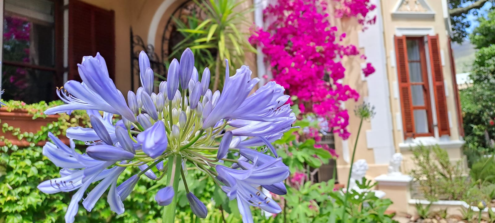 Our Victorian style main entrance, surrounded in a luxurious lushed garden. A real treat for garden lovers.