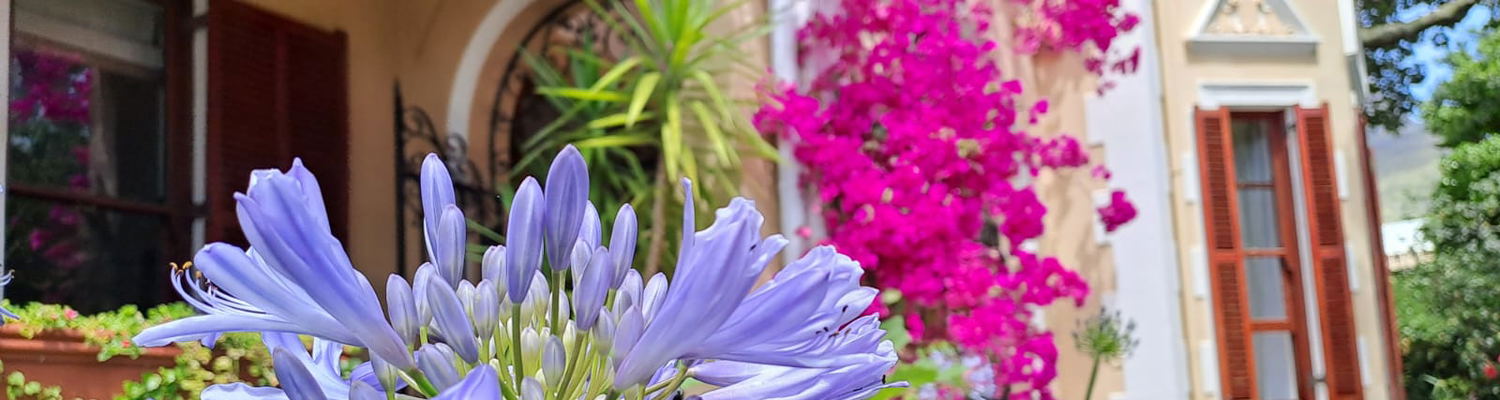 Our Victorian style main entrance, surrounded in a luxurious lushed garden. A real treat for garden lovers.