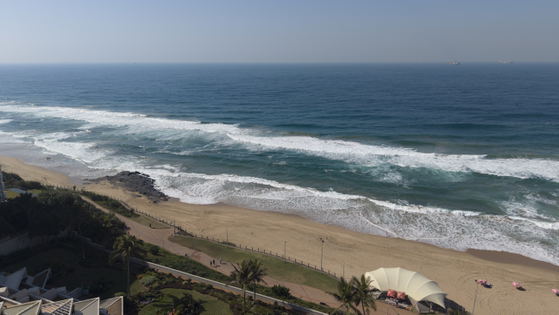 Beach and surrounding area