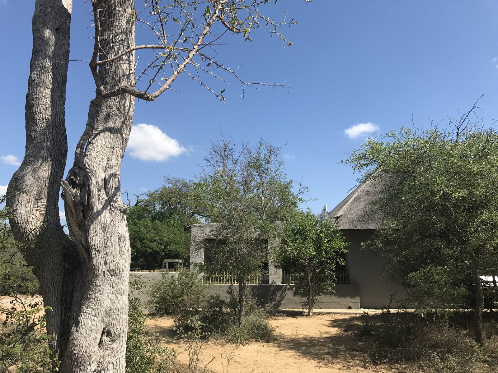 Bush Lodge 1