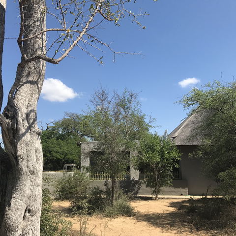 Bush Lodge 1