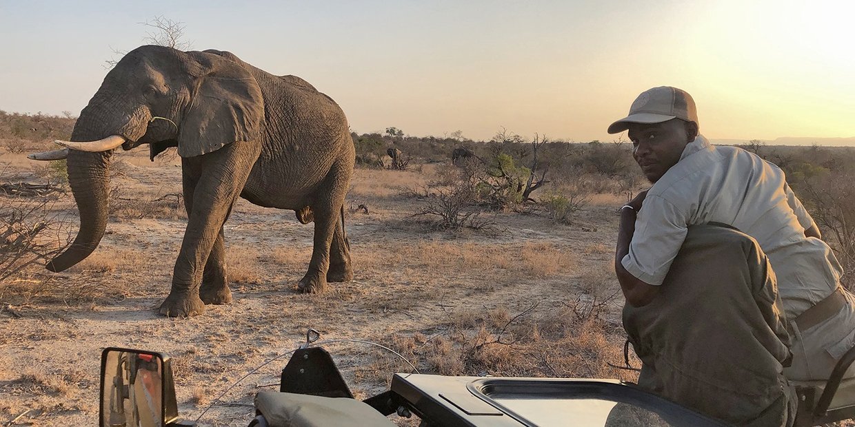 elephant , big game, big 5 , conservation , nature reserve ,Timbavati , Kruger park, safari , bush experience adventures close calls
