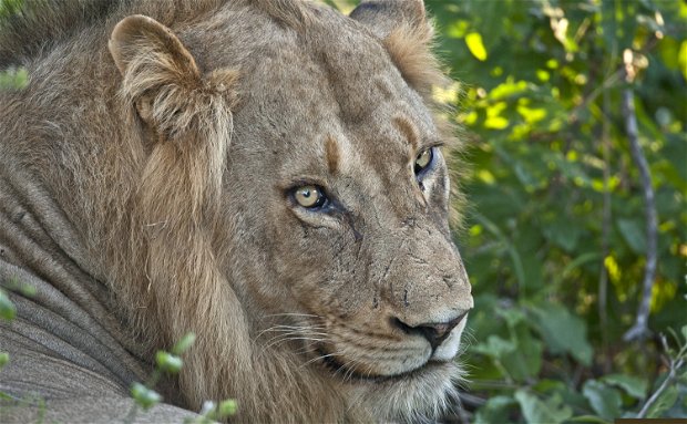 Umlani Captured in Photos - April 2016 Umlani Captured in Photos - April 2016