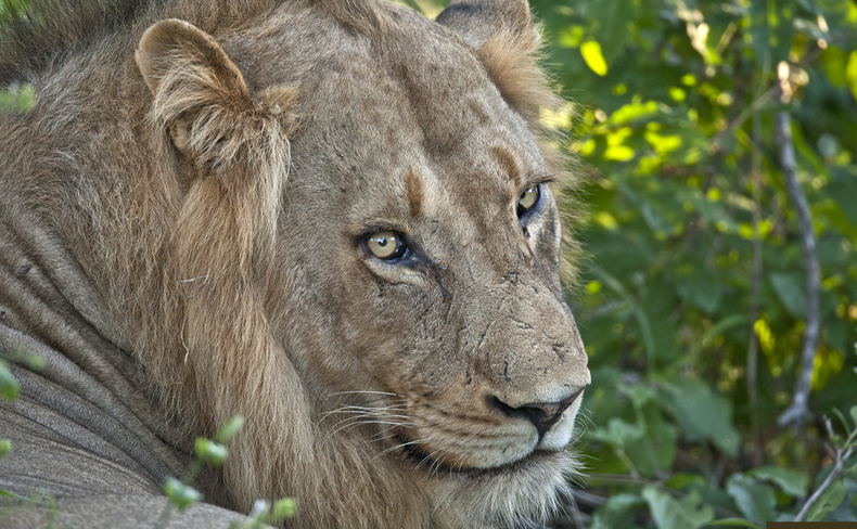 Umlani Captured in Photos - April 2016 Umlani Captured in Photos - April 2016