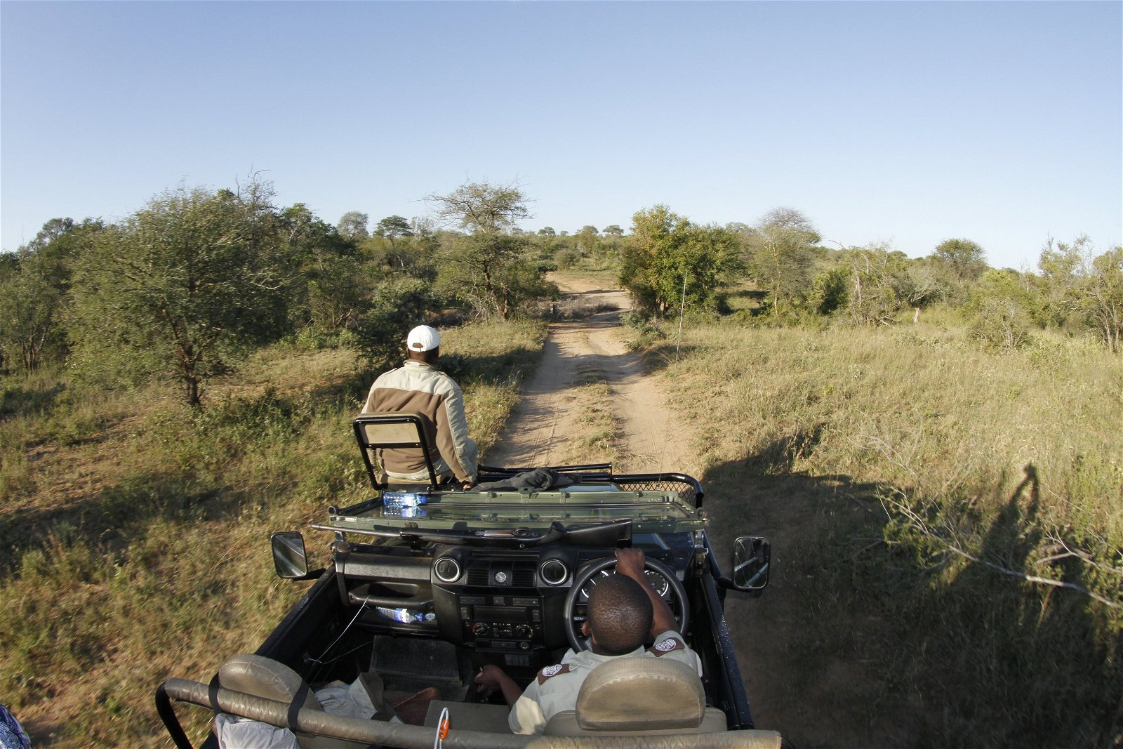 Game viewing, Umlani Bushcamp, Timbavati Private Nature Reserve, Kruger National Park