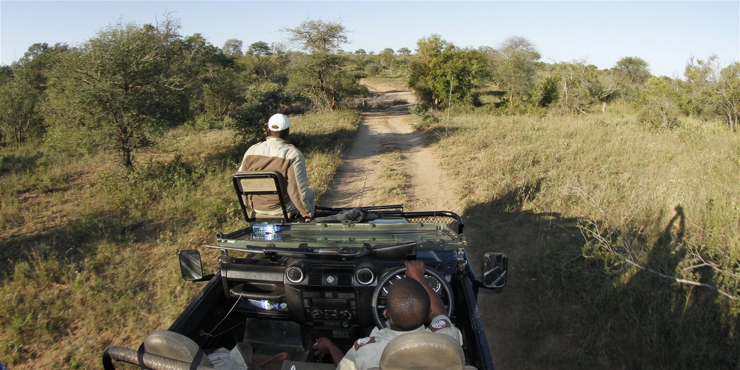 Game viewing, Umlani Bushcamp, Timbavati Private Nature Reserve, Kruger National Park