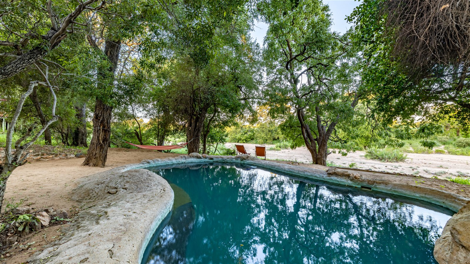 Pool hope outhitting African sun vacation holiday getaway game lodge luxury rustic Timbavati African animals Kruger national park 