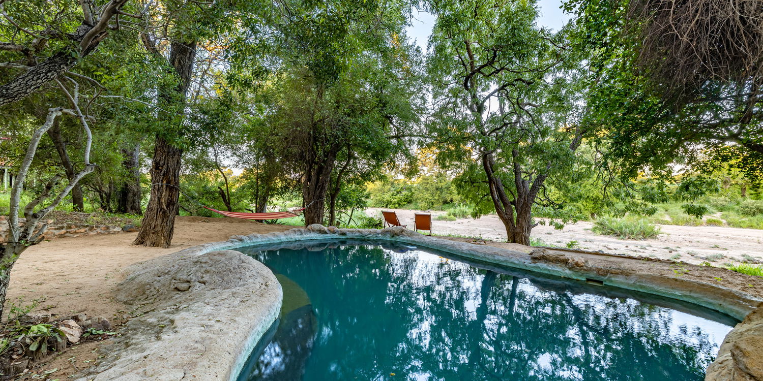 Pool hope outhitting African sun vacation holiday getaway game lodge luxury rustic Timbavati African animals Kruger national park