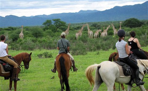 Horse Back Riding