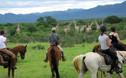 Horse Back Riding