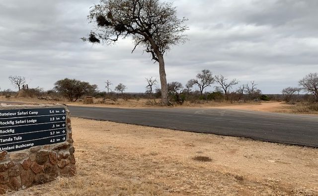 directions dirt road game timbavati Kruger park Umlani bush camp big 5 lions leopards rhino safari Africa southafrica South Africa squid game corona virus meatloaf 