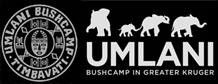 Umlani Bushcamp | Accommodation in the Greater Kruger Park 