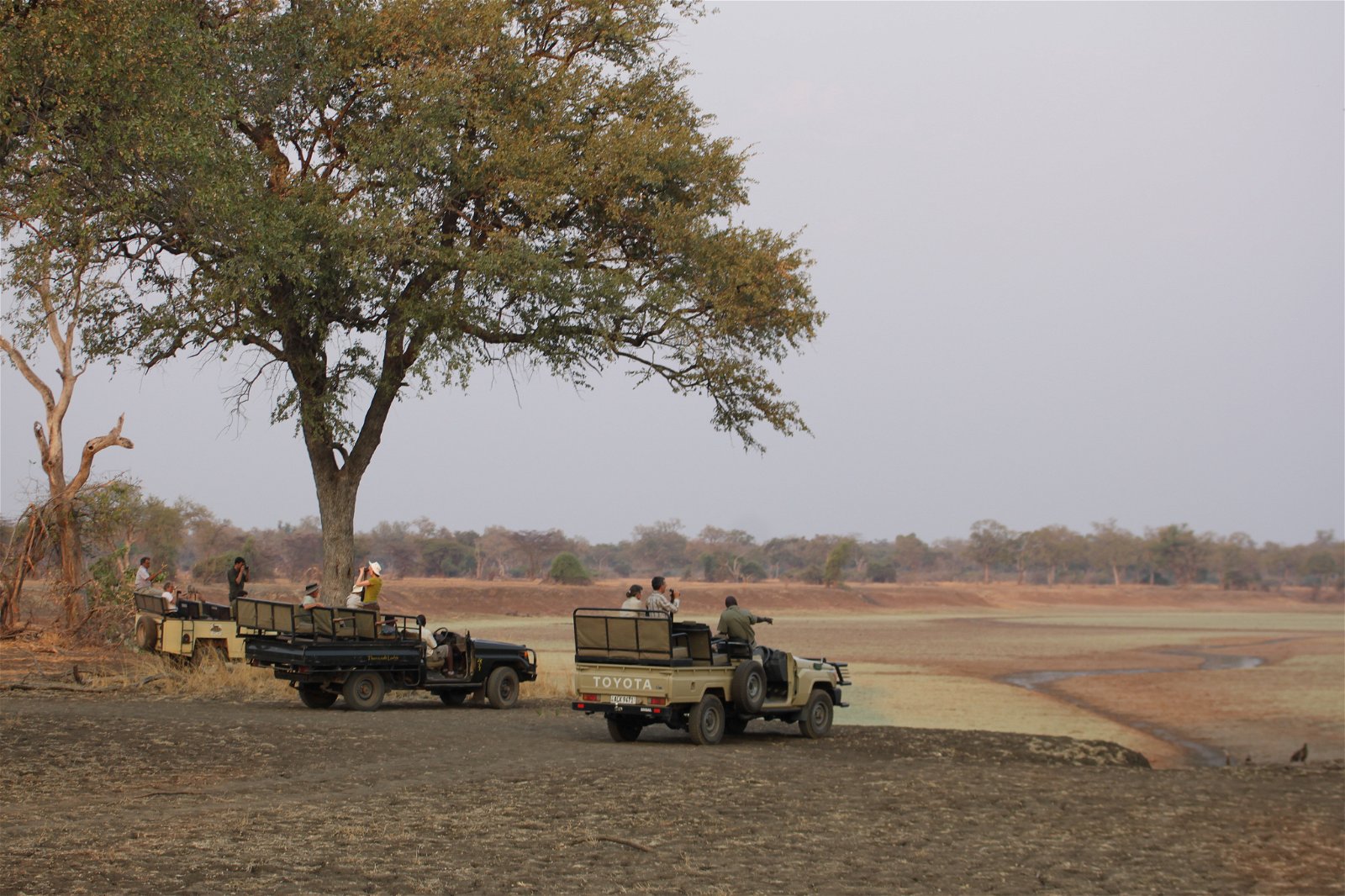 Customised Safaris and Volunteer Opportunities