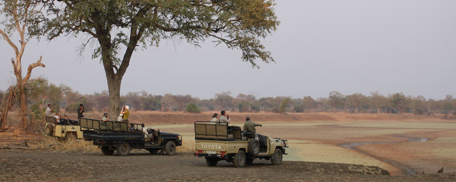 Customised Safaris and Volunteer Opportunities
